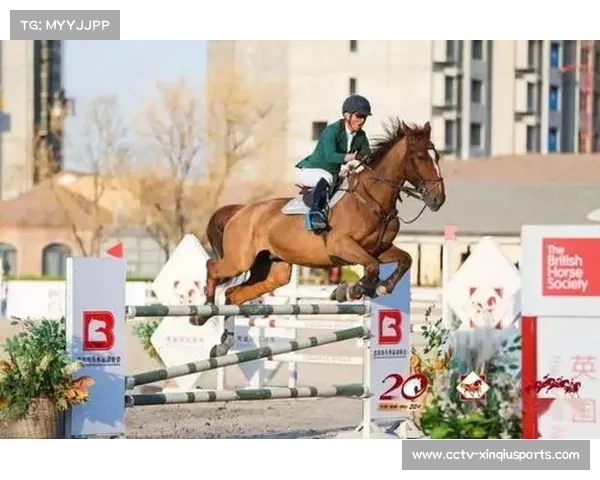 内蒙古马术实力雄厚赛前备受专家青睐有望再创佳绩